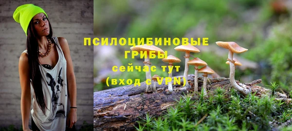 стафф Баксан