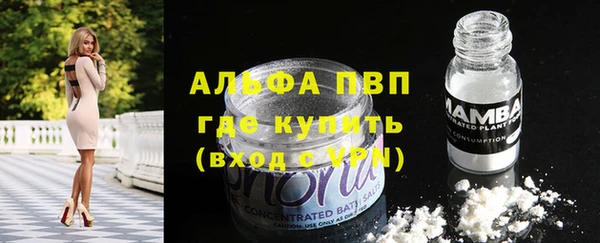 стафф Баксан